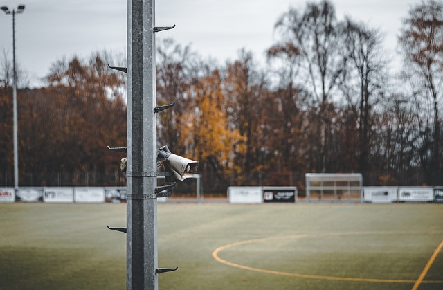 在嚴格的康 在嚴格的康