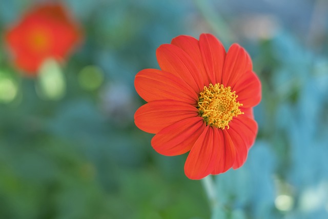 未来序章 未来序章