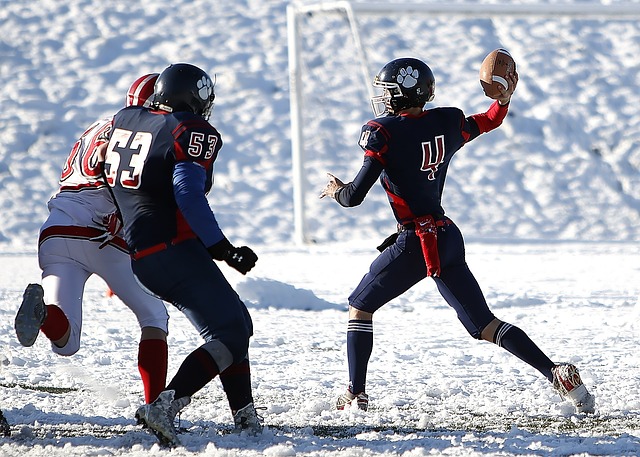 的跳伞教练 的跳伞教练