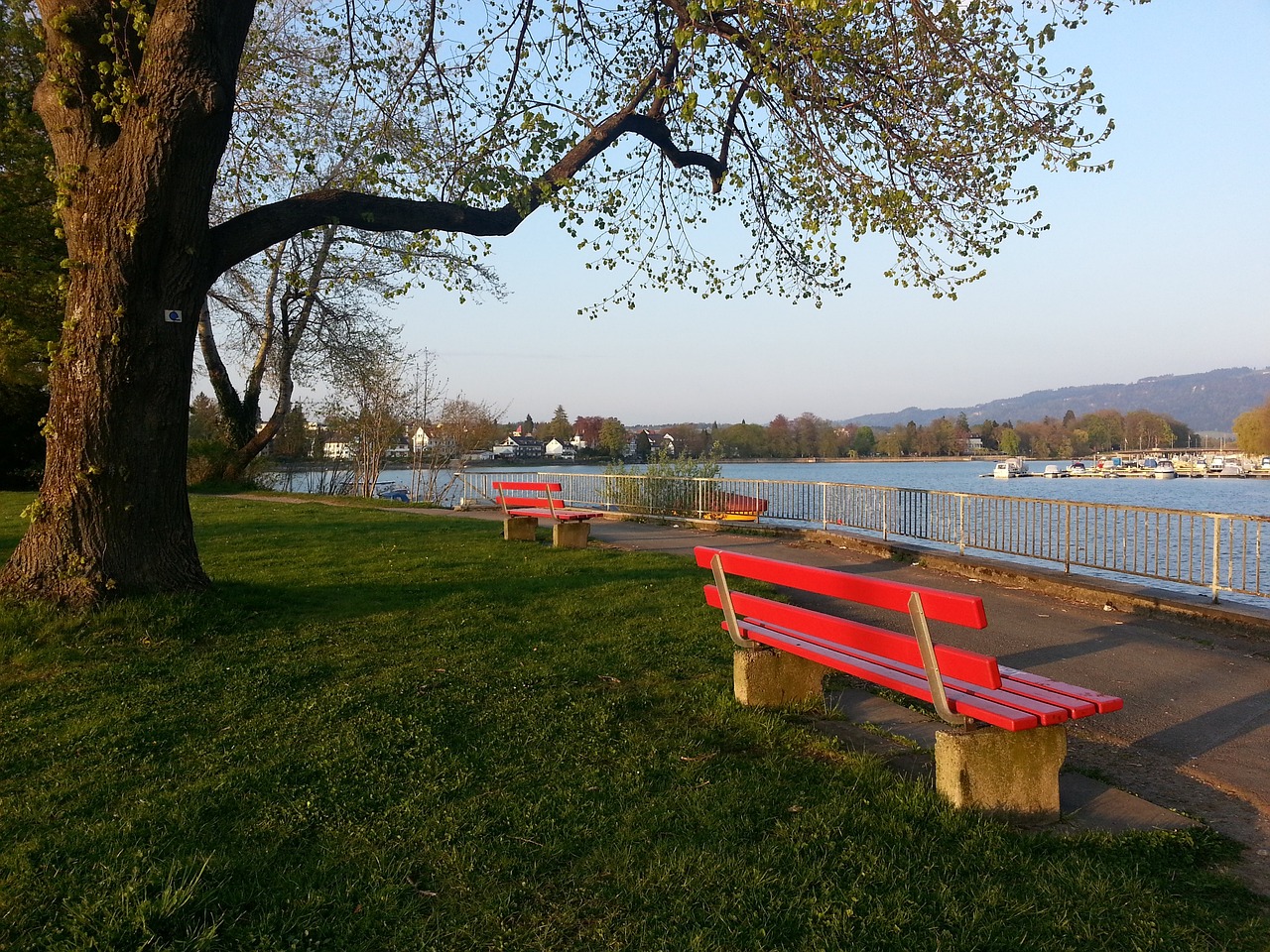 但他为国家 但他为国家