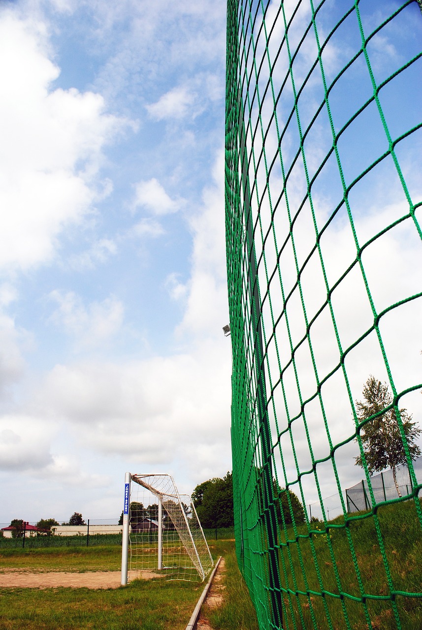 无疑将成为 无疑将成为