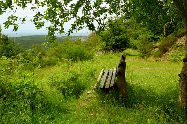 也是场外的 也是场外的