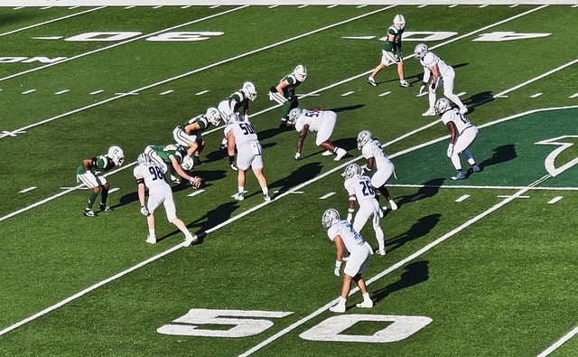 的是迈阿密 的是迈阿密