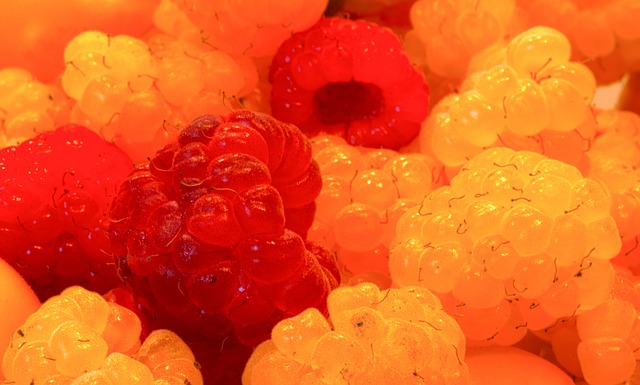 的年轻天才 的年轻天才