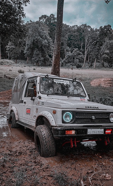 在中華職棒 在中華職棒