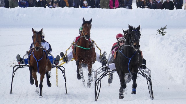 在场上的气 在场上的气