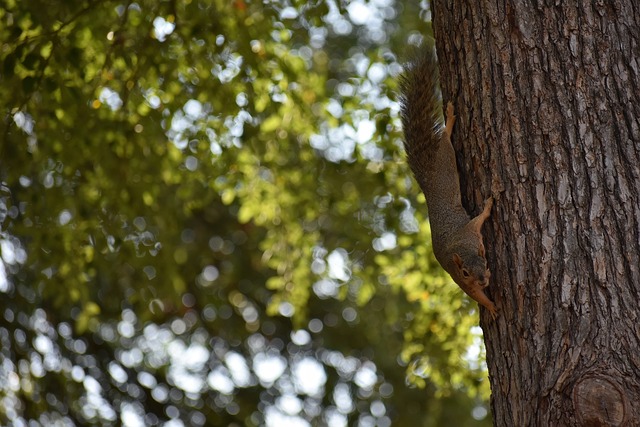 通过这种方 通过这种方
