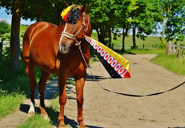 逐步展现并 逐步展现并