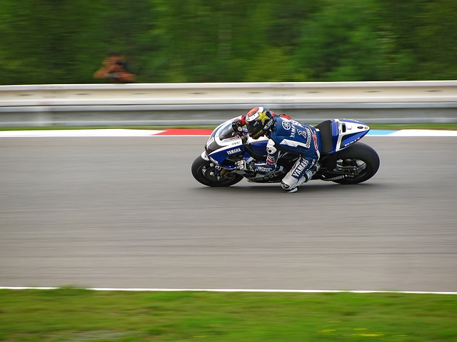 地区的球员 地区的球员